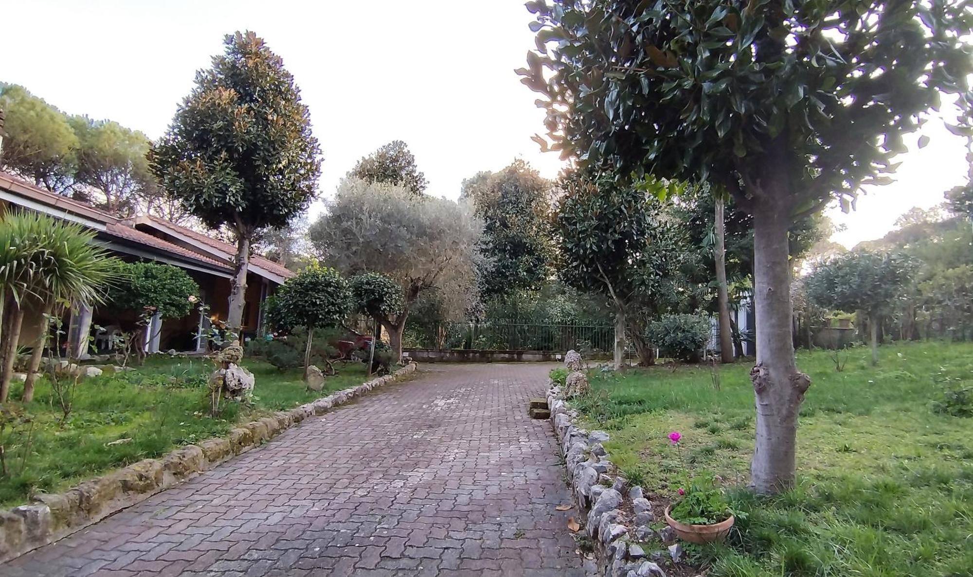 Bed & Breakfast Vivas Rubra Rom